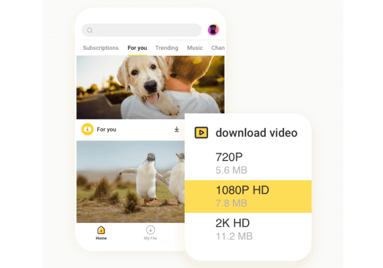 SnapTube Download for PC