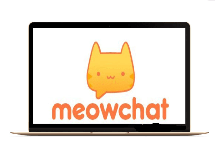 MeowChat on Computer