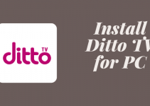 Ditto TV for PC – Windows 7, 8, 10, and Mac Free Download